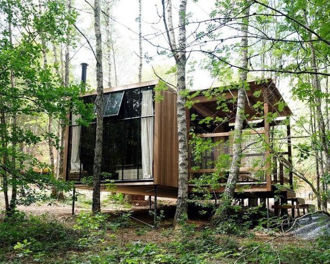 La cabane dans les arbres