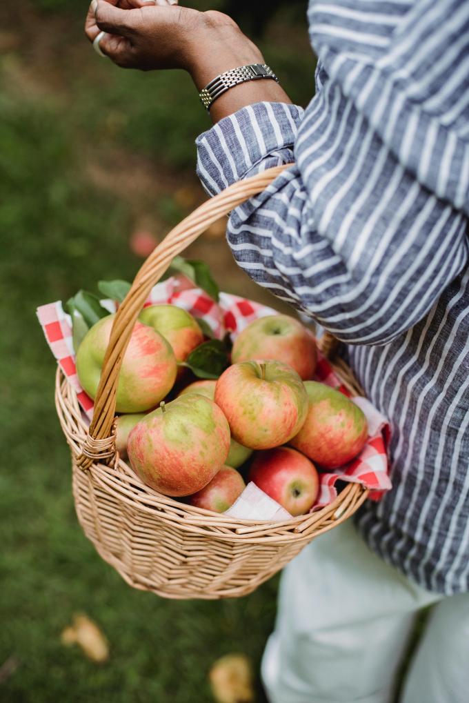 Cueillir des pommes