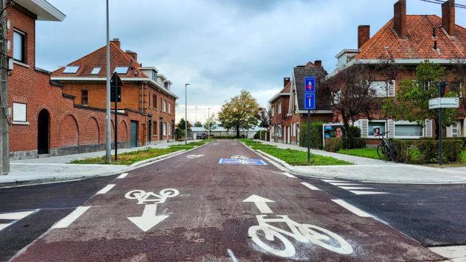 Door met grasdallen te werken in de Koninginnelaan worden de parkeerplaatsen behouden en kan het regenwater insijpelen. Komend plantseizoen komen er nog nieuwe bomen