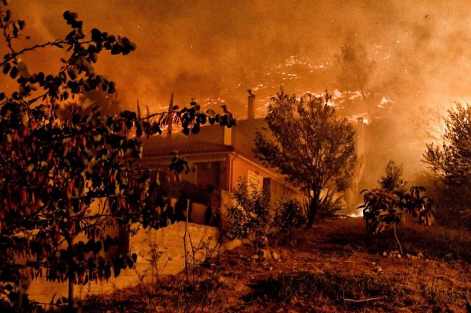 Le réchauffement rend la Grèce victime d'une chaleur meurtrière - Getty Images