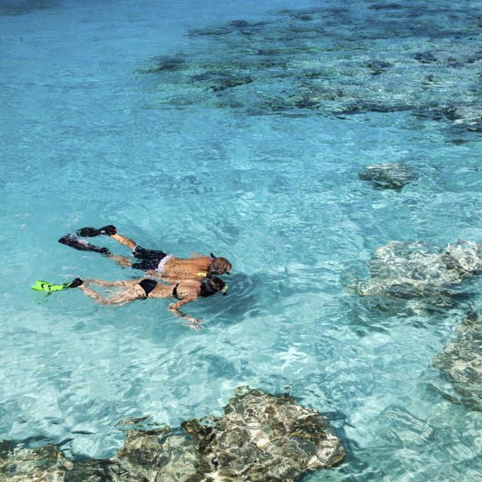 Heel wat plekjes in de Caraïben zijn ideaal om te snorkelen. (foto MSC)