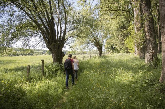 Het Raspaillebos strekt zich uit aan de voet en op de flank van de Bosberg, de bekende kuitenbijter uit de Ronde van Vlaanderen. (Foto TOV)