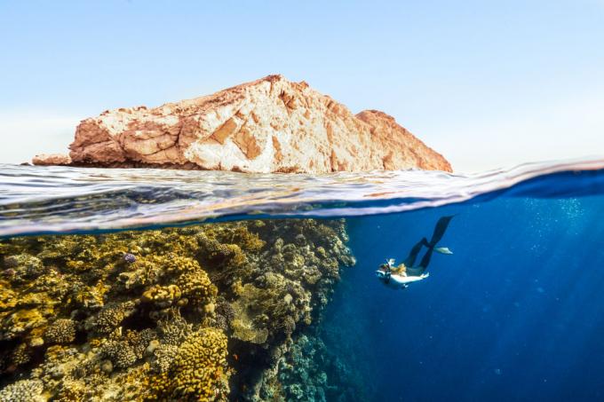 Plongée au large de Sindalah, à Neom - Getty Images