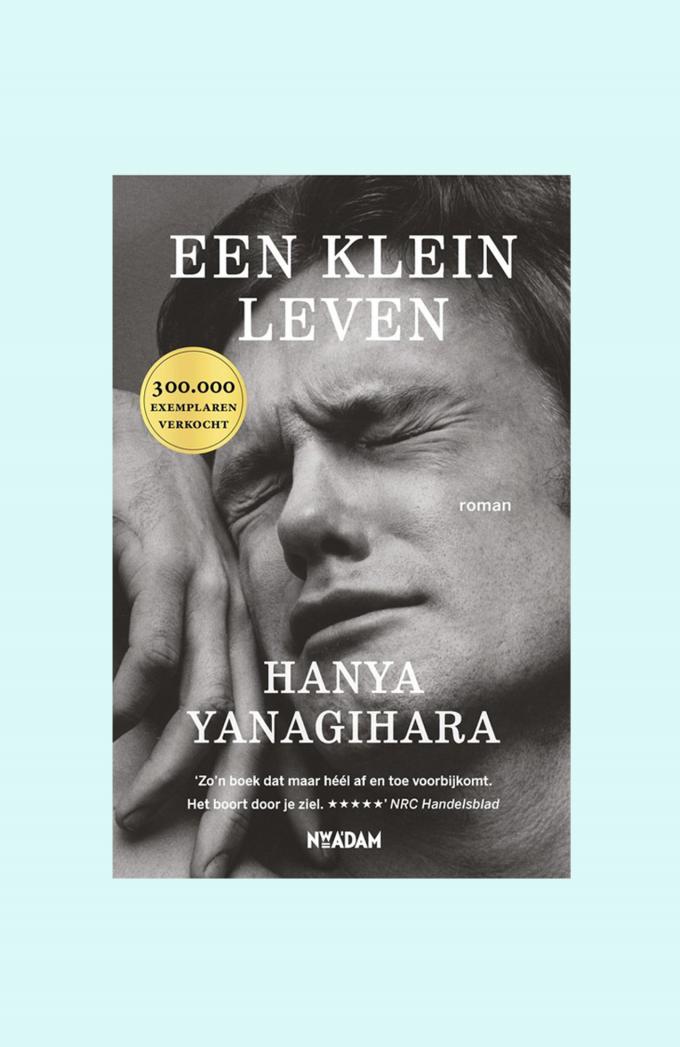 Een klein leven