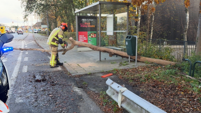 De brandweer kwam ter plaatse om de boom te verzagen.