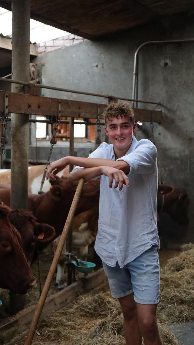 Martijn Vandeputte en zijn familie kweekt al drie generaties West-Vlaams rood.