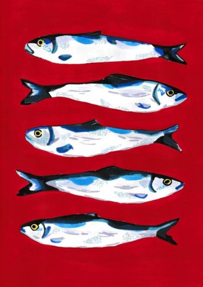 Sardines in red