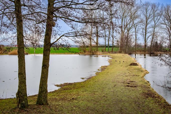 Papes Putten werd verkozen tot het mooiste plekje van West-Vlaanderen. (foto Kurt)