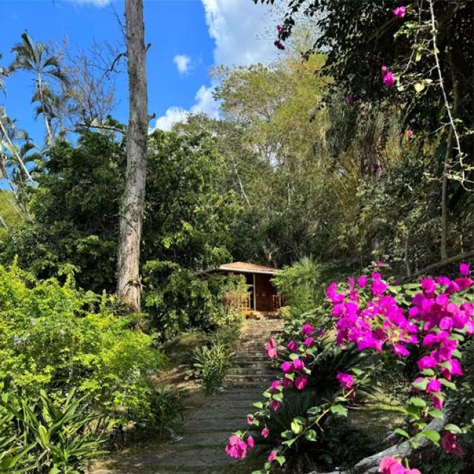 Hutje in de jungle in San Julian, El Salvador