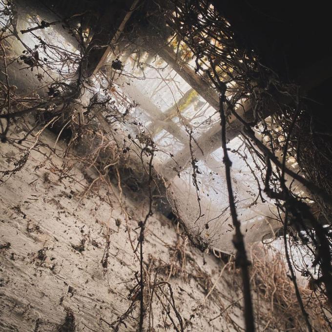 Trien Byttebier nam rakelings wat foto’s met haar GSM.