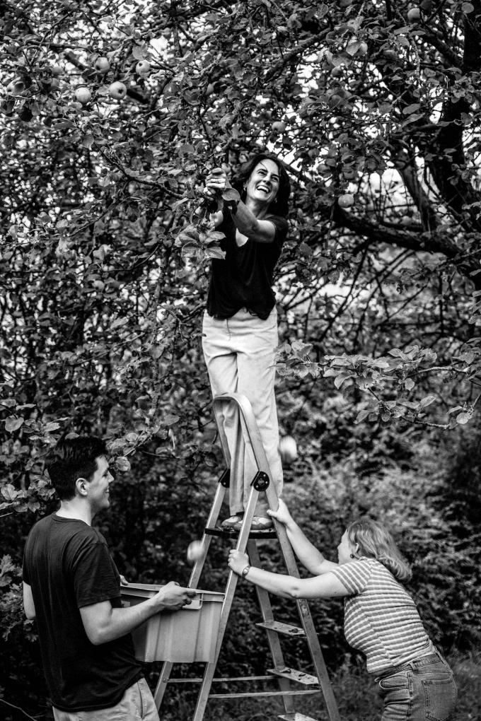 Professor Evelyne Terryn, samen met Jef Lievens één van de drijvende krachten achter de tentoonstelling, tijdens de appelpluk in de Kulak boomgaard.
