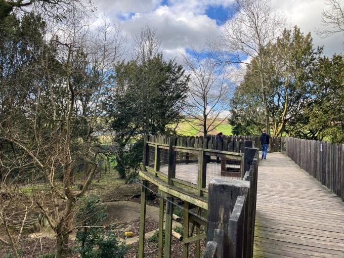 Zaakvoerder Karel Ackaert: “Het nieuwe verblijf is een bosrijk gebied met veel bomen, takken en stammen op de grond, gras, bladeren en een waterpoel.”