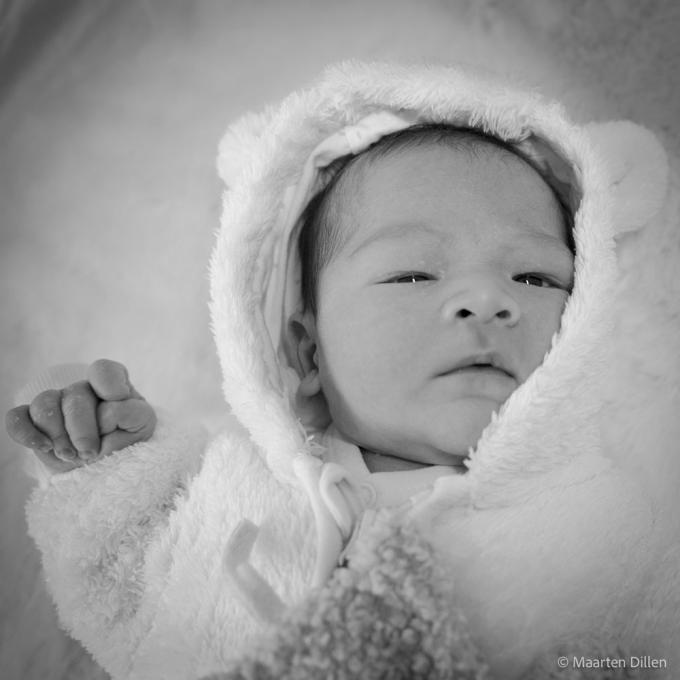 Newbornshoot