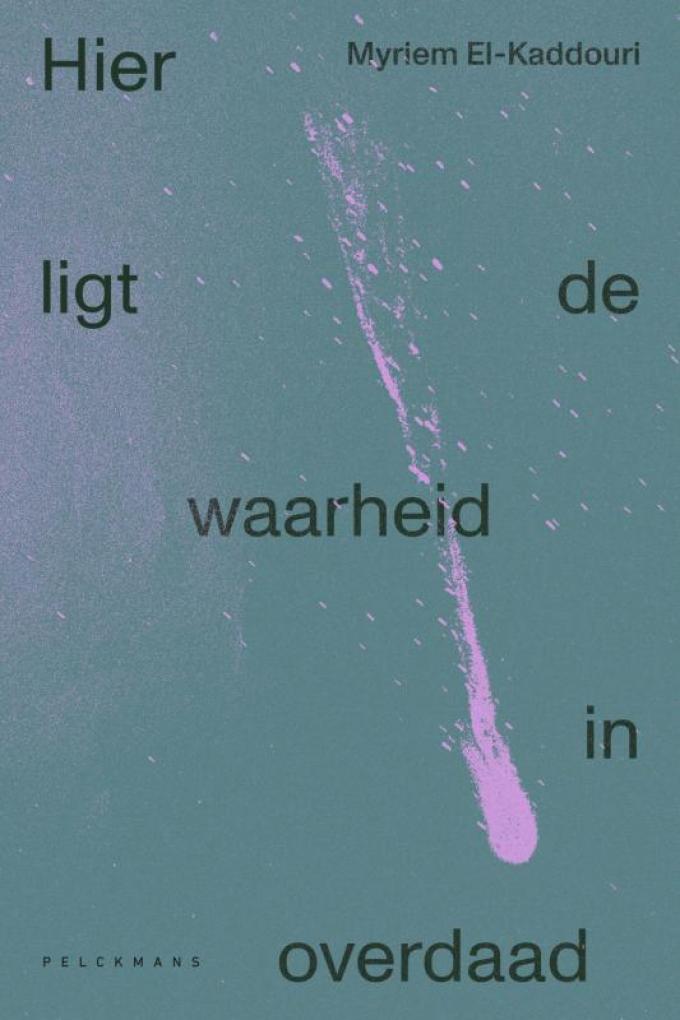 De cover van ‘Hier ligt de waarheid in overdaad’.