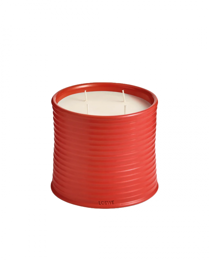 'Large Tomato Leaves'