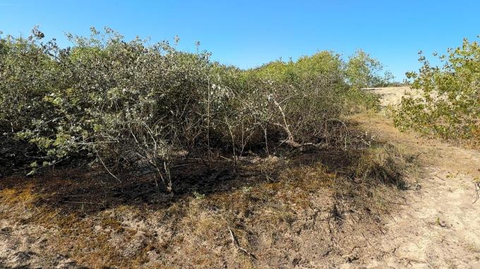 De brandhaarden zelf waren snel onder controle en de brand kon beperkt worden tot enkele honderden vierkante meters duinvegetatie.