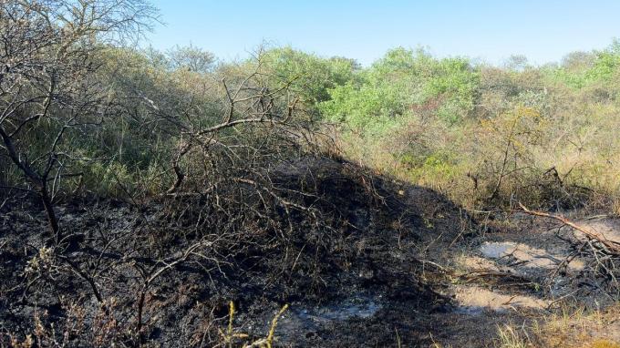 De brandhaarden zelf waren snel onder controle en de brand kon beperkt worden tot enkele honderden vierkante meters duinvegetatie.