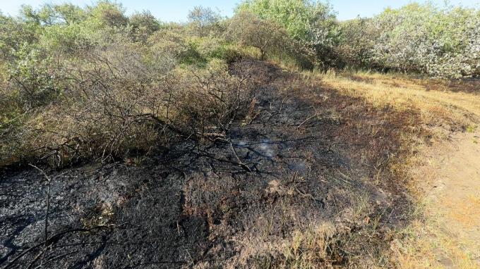 De brandhaarden zelf waren snel onder controle en de brand kon beperkt worden tot enkele honderden vierkante meters duinvegetatie.