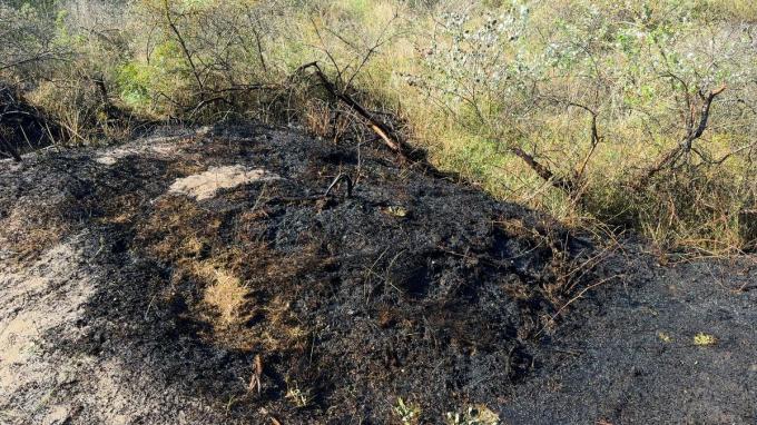 De brandhaarden zelf waren snel onder controle en de brand kon beperkt worden tot enkele honderden vierkante meters duinvegetatie.