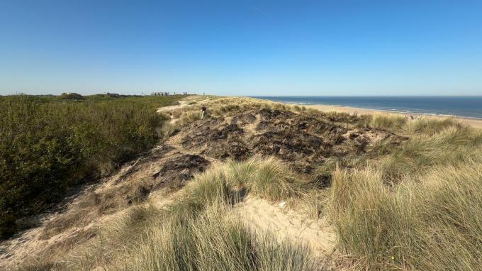 De brandhaarden zelf waren snel onder controle en de brand kon beperkt worden tot enkele honderden vierkante meters duinvegetatie.