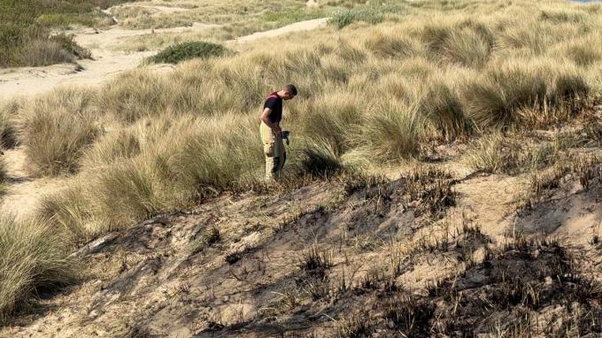 Bij aankomst van de hulpdiensten werden meerdere brandhaarden vastgesteld op enkele tientallen meters van elkaar.