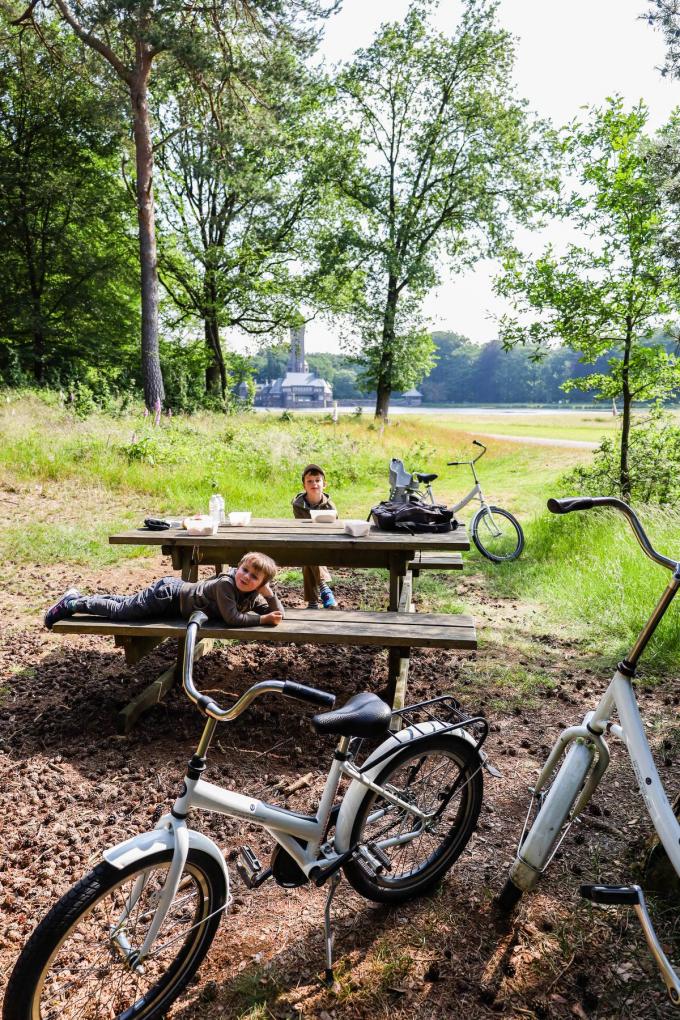 Even rusten aan één van de vele picknickbankjes in het nationale park De Hoge Veluwe. Met uitzicht op een prachtig paars bloementapijt en de 35 meter hoge Jachthuis Sint Hubertus, de landmark van het park. (foto tvdb)