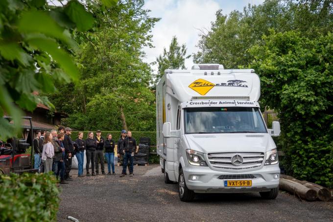 In alle vroegte nam het team van Sanctuary De Zonnegloed in Vleteren afscheid van de beren Nanuq en Malenky.