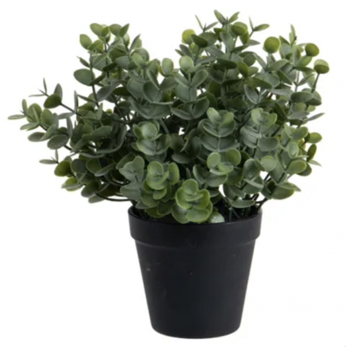 Plante Artificielle Eucalyptus, 28 cm