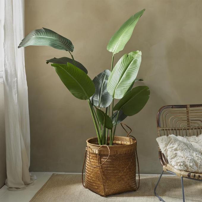 Plante artificielle Strelitzia 160 cm