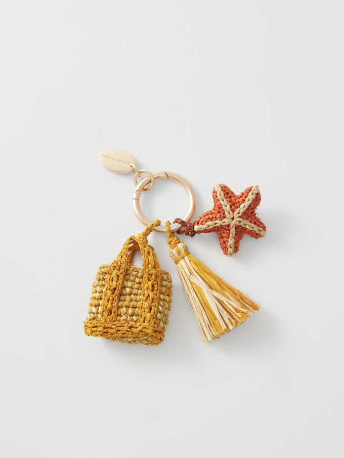 Le charm étoile de mer