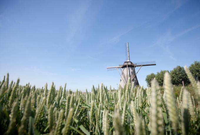 (foto Westtoer)