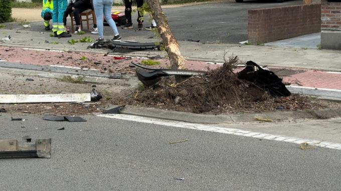 Door de impact belandde een van de wagens tegen een boom, die daardoor knakte.