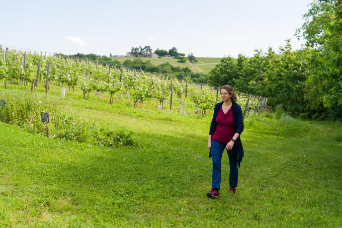 vignoble premiere femme belge master of wine