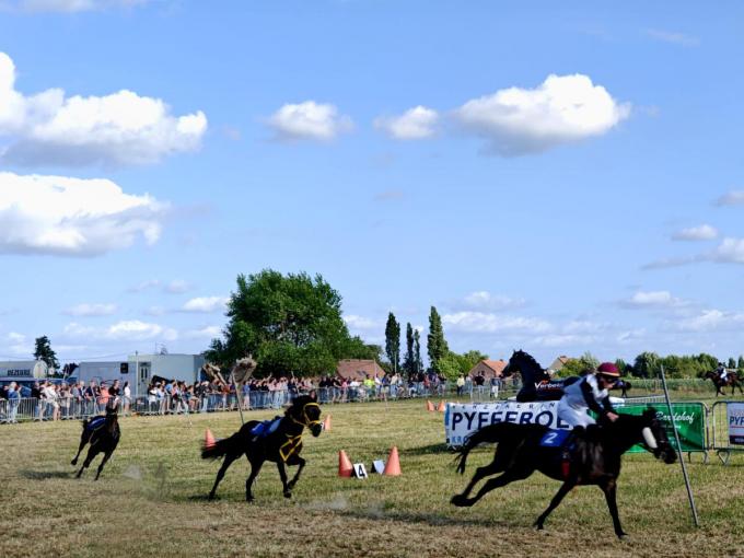 Tijdens de ponykoers werd het even spannend wanneer drie paarden zonder jockey de rit afmaakten.