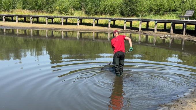In het Stevenspark in Sint-Kruis hebben de stadsdiensten een honderdtal vissen gered, die door zuurstoftekort in het water in de problemen kwamen.