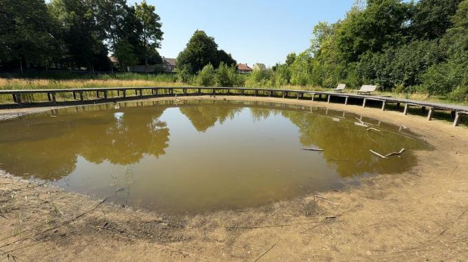 Het waterpeil van de wadi in het Stevenspark in Sint-Kruis is ernstig gezakt.