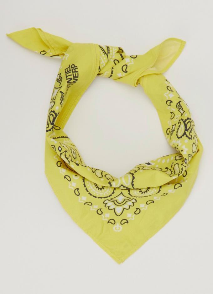 Sjaal met paisley dessin