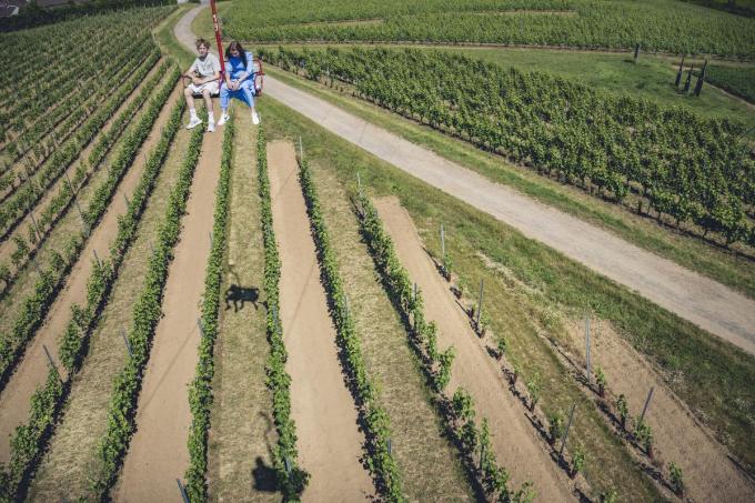 Je zweeft er over de wijnvelden van Entre-Deux-Monts.