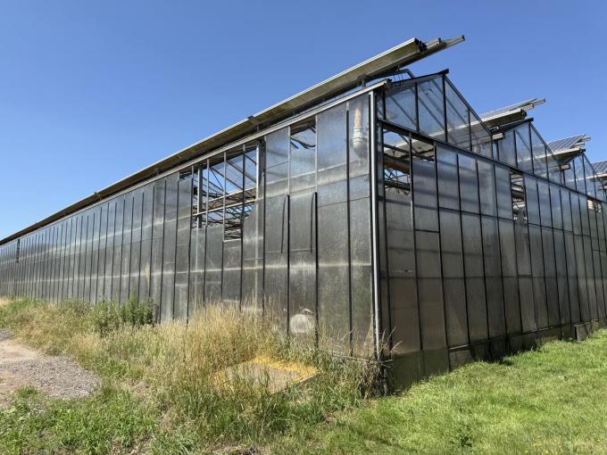 Er zijn wel enkele ruiten gebroken, maar ventilatie is niet voorzien in de serres.