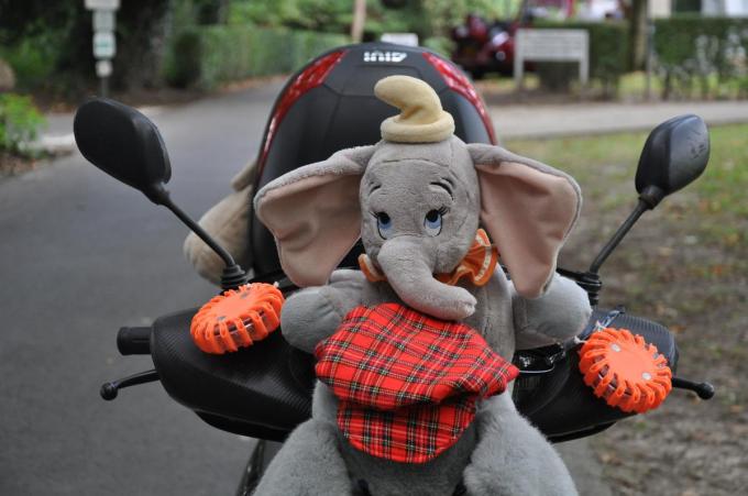 De naam Jumbo Run verwijst naar de olifanten in de Dudley Zoo, een van de haltes langs het traject van de allereerste editie in Engeland. (foto Nele VDM)
