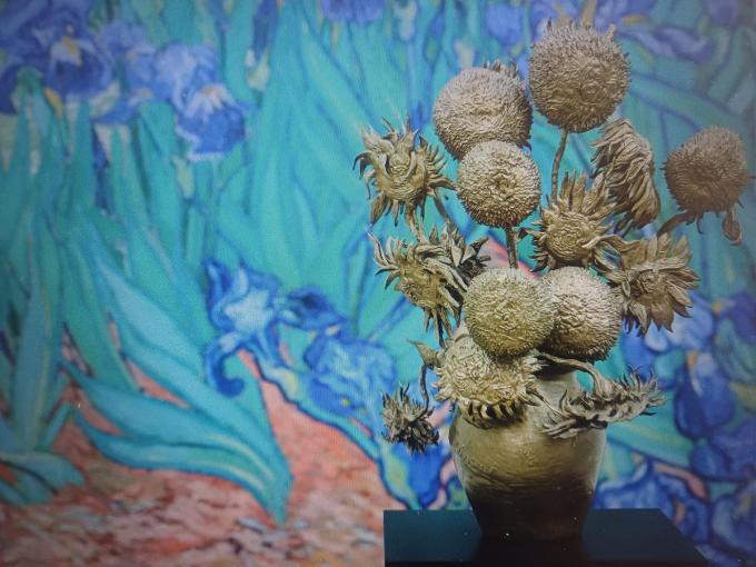 (foto's Kunstmuseum Den Haag - David Hockney/Fondation Louis Vuitton - Jimmy Nelson - Kunstmuseum Bonn - Saatchi Gallery)
