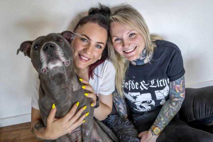 Sibylle en Debbie met Warlock: “Mijn hond moeten afstaan als gevolg van complicaties bij een aandoening? Dat kon ik moeilijk aanvaarden.”