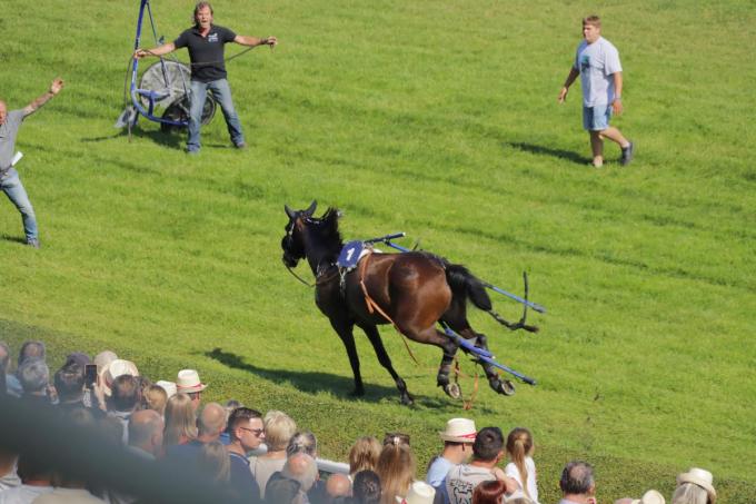 Het paard trapte de sulky van zich af en ging ervandoor. Pas aan de stallen kon het tot bedaren worden gebracht.
