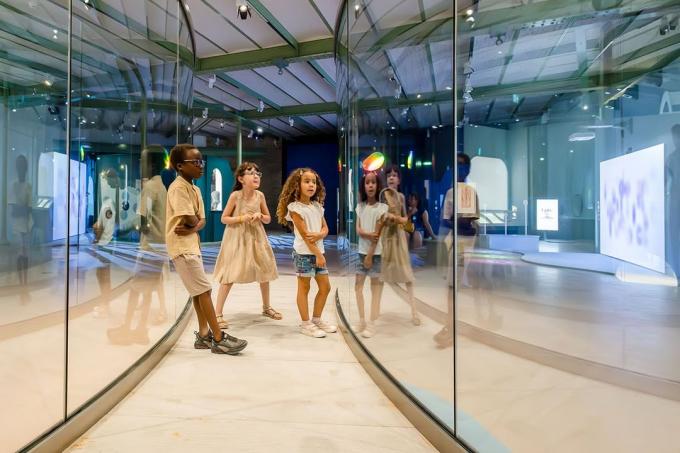 Palais de la Découverte: sciences et curiosité