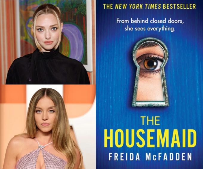 The Housemaid – Freida McFadden