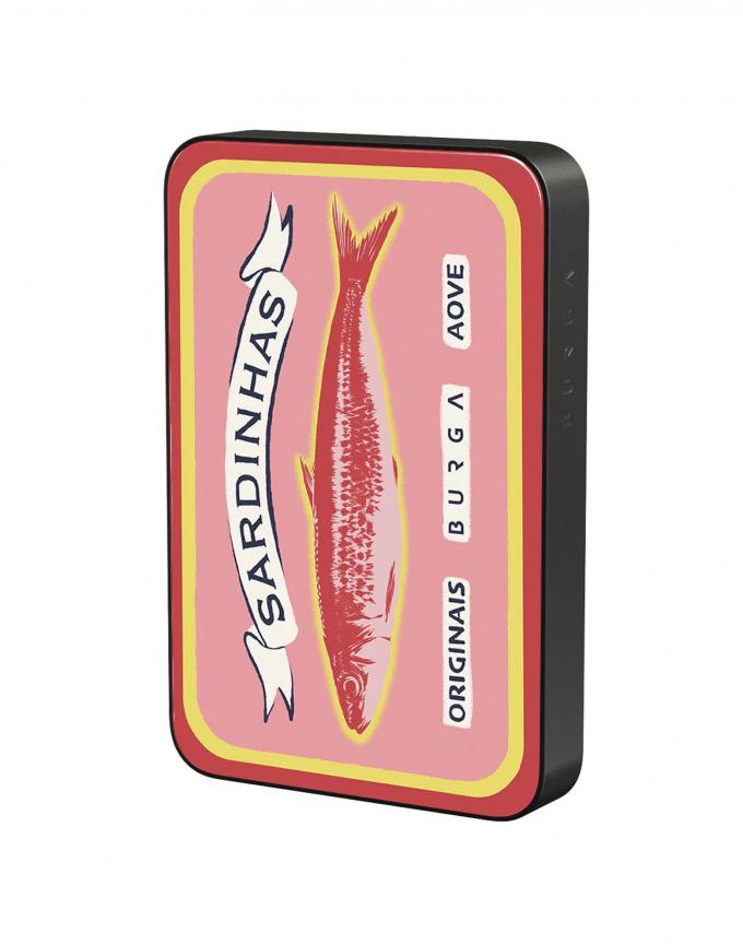Powerbank