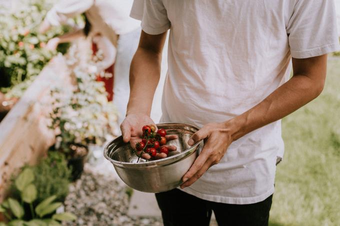 Avec la salade de tomates, le simple touche au sublime - Unsplash (Priscilla Du Preez)
