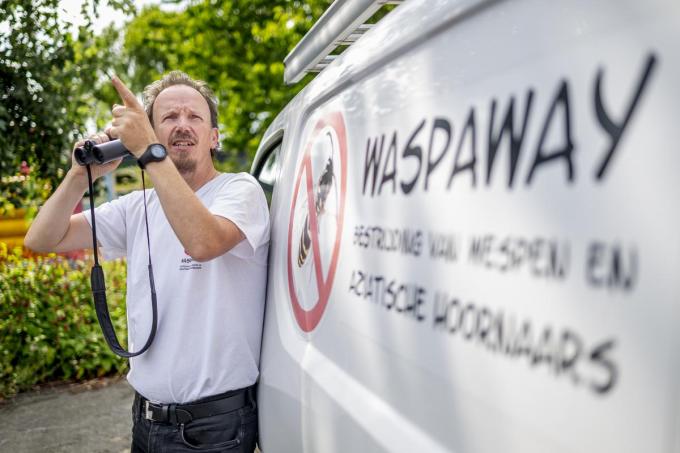 Dominique Soete bestrijdt met zijn bedrijf Waspaway wespen en Aziatische hoornaars en heeft zich de voorbije jaren verdiept in de invasieve exoot.