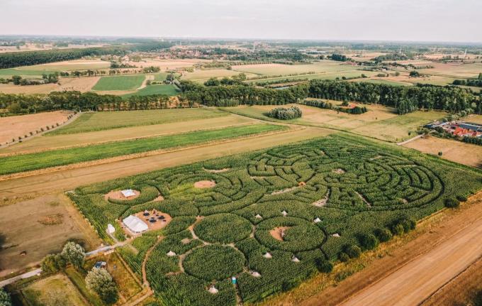 Maïsterplan: dat is een doolhof - en veel meer - in de Damse polders. (foto Maïsterplan)