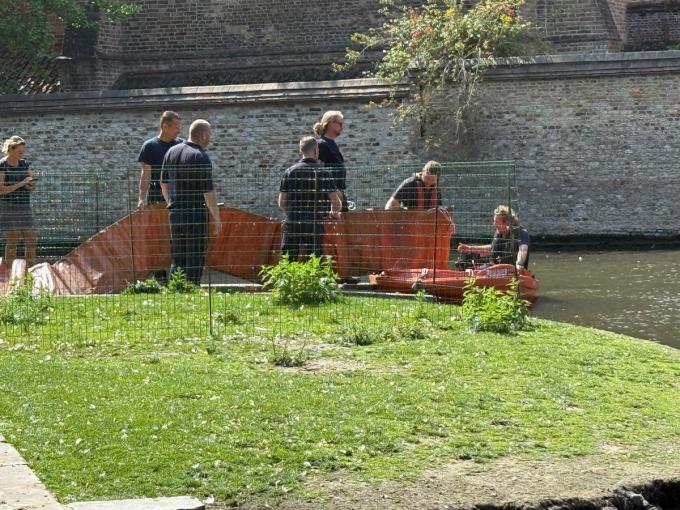 De Brugse brandweer legde een dam aan en zorgde zo voor een afgebakende zone waar de zwanen veilig kunnen zwemmen.